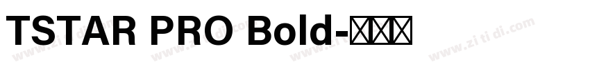 TSTAR PRO Bold字体转换